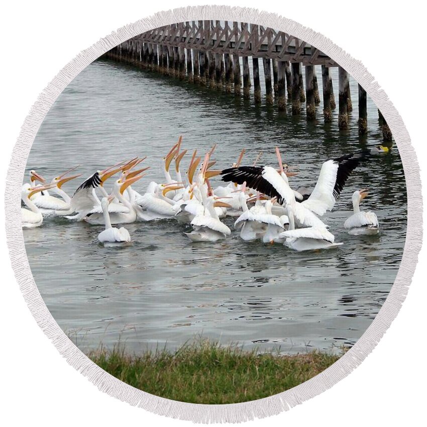 Pelicans Round Beach Towel featuring the photograph Hungry Pelicans by Linda Cox