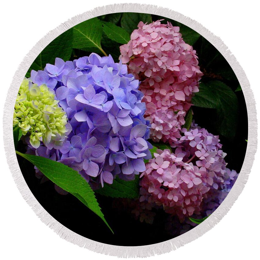 Fine Art Round Beach Towel featuring the photograph Hydrangea Glow by Rodney Lee Williams