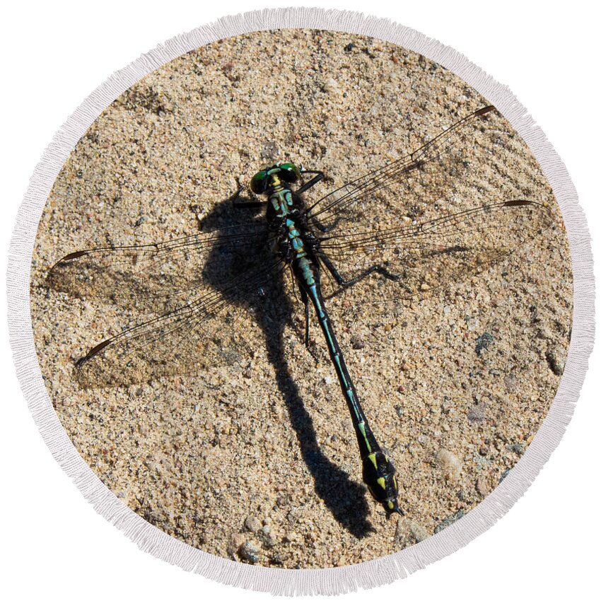 Dragonfly Round Beach Towel featuring the photograph I Can See Through Your Wings by Barbara McMahon