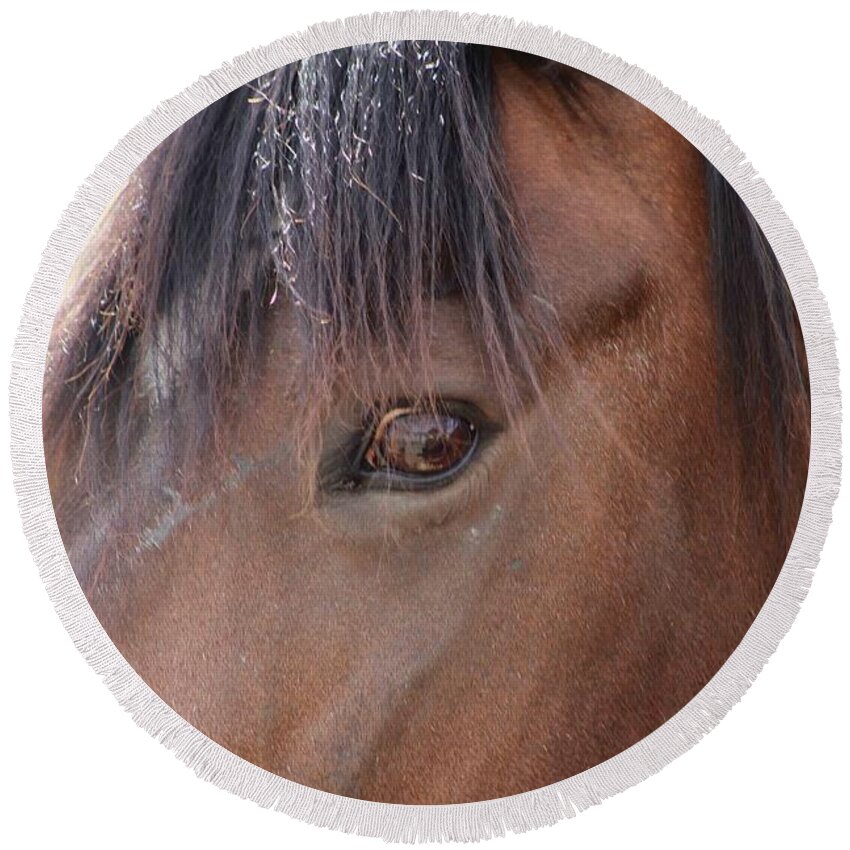 Horse Round Beach Towel featuring the photograph I Have My Eye On You by Fiona Kennard
