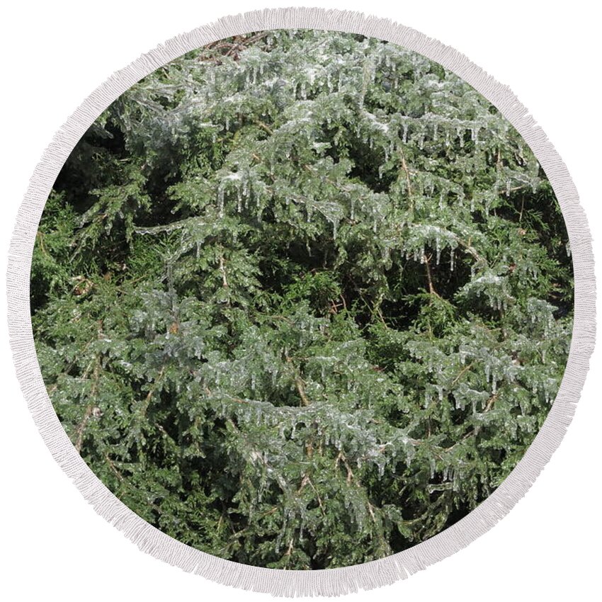 Ice Round Beach Towel featuring the photograph Ice On Eastern Red Cedar by Daniel Reed