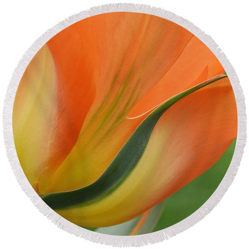 Tulips Round Beach Towel featuring the photograph Imperfect beauty by Felicia Tica