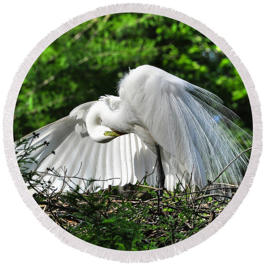 Egret Round Beach Towel featuring the photograph In All His Glory by Kathy Baccari