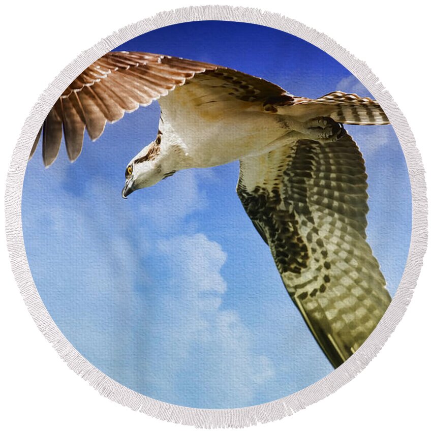 Osprey Round Beach Towel featuring the photograph In Search Of by Deborah Benoit