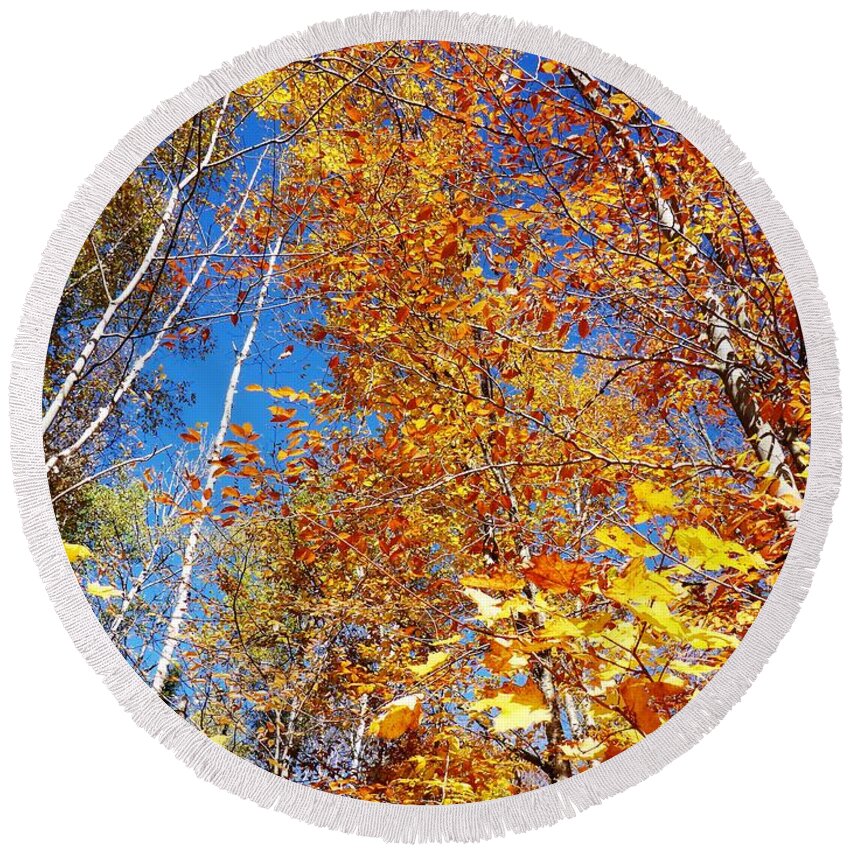 Autumnal Round Beach Towel featuring the photograph In the Forest at Fall by Cristina Stefan