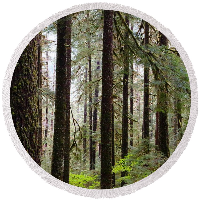  Olympic Round Beach Towel featuring the photograph In the Woods by David Andersen