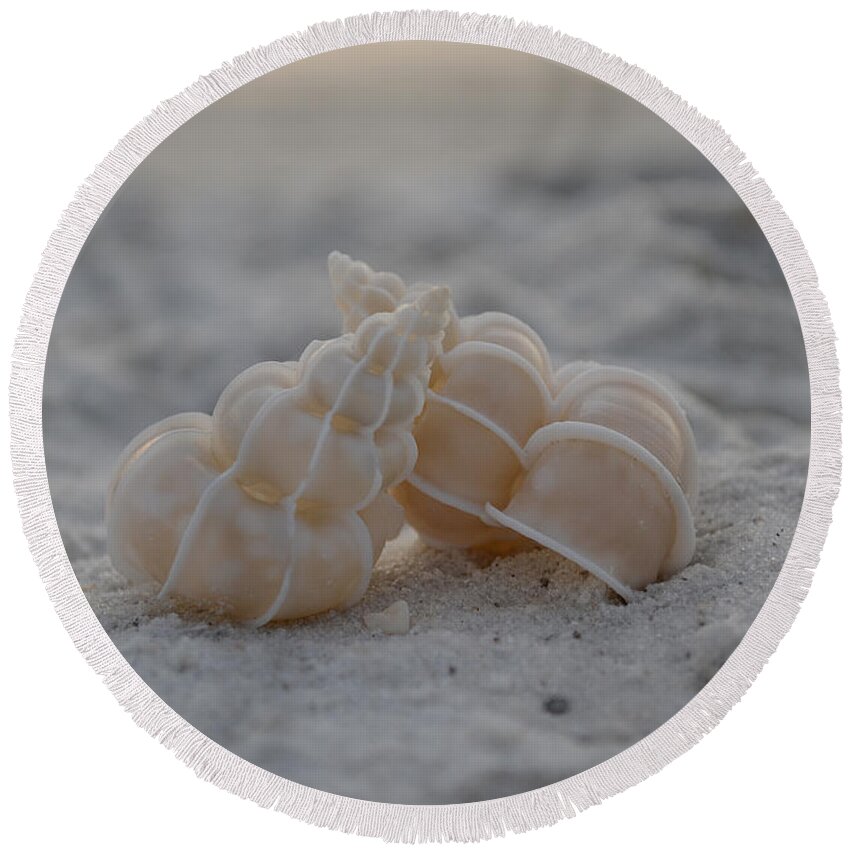 Seashells Round Beach Towel featuring the photograph In Your Light by Melanie Moraga