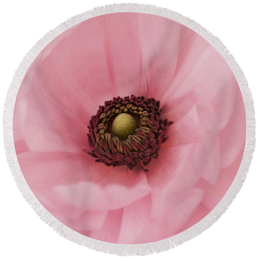 Pink Flower Round Beach Towel featuring the photograph Into The Heart by Kim Hojnacki