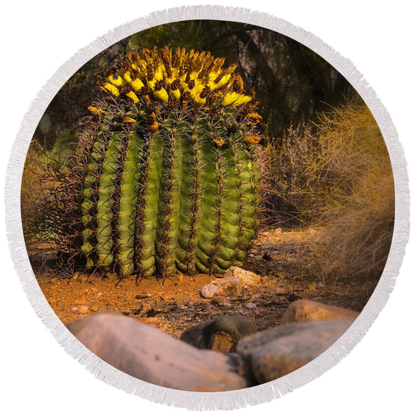 2013 Round Beach Towel featuring the photograph Into The Prickly Barrel by Mark Myhaver