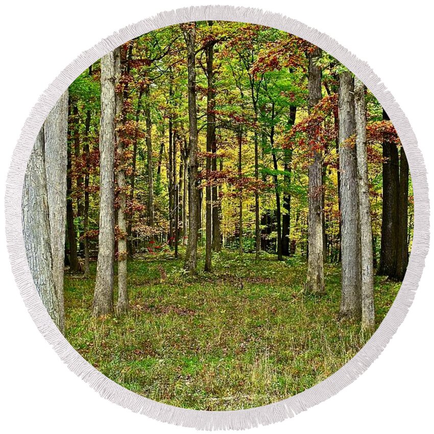 Autumn Round Beach Towel featuring the photograph Into The Void by Frozen in Time Fine Art Photography