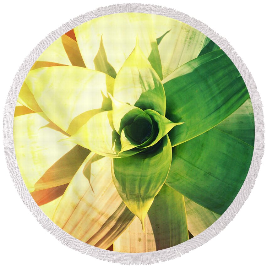 Florida Round Beach Towel featuring the photograph Island Plant Life Photography Light Leaks1 by Chris Andruskiewicz