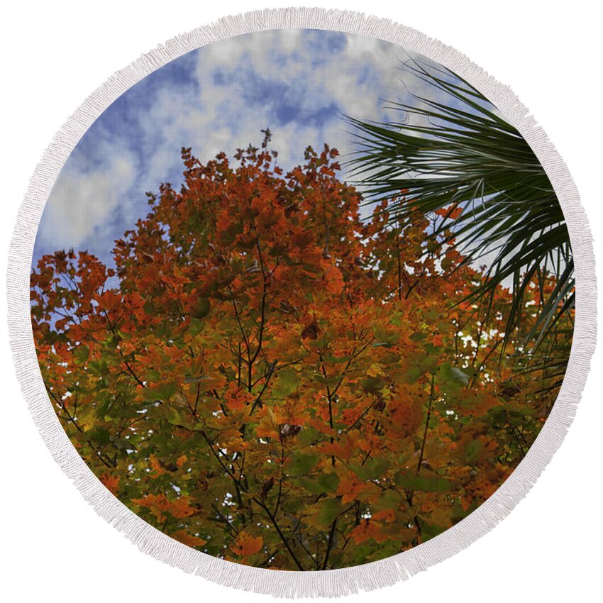 Maple Leaf Round Beach Towel featuring the photograph It's Fall Ya'll by Dale Powell
