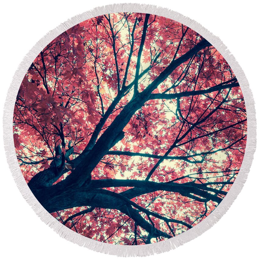 Autumn Round Beach Towel featuring the photograph Japanese Maple - Vintage by Hannes Cmarits