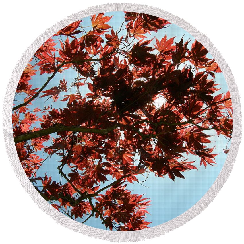 Japanese Maple Round Beach Towel featuring the photograph Japanese Maple Against Blue Sky by Bev Conover