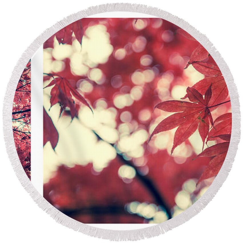 Autumn Round Beach Towel featuring the photograph Japanese Maple Collage by Hannes Cmarits