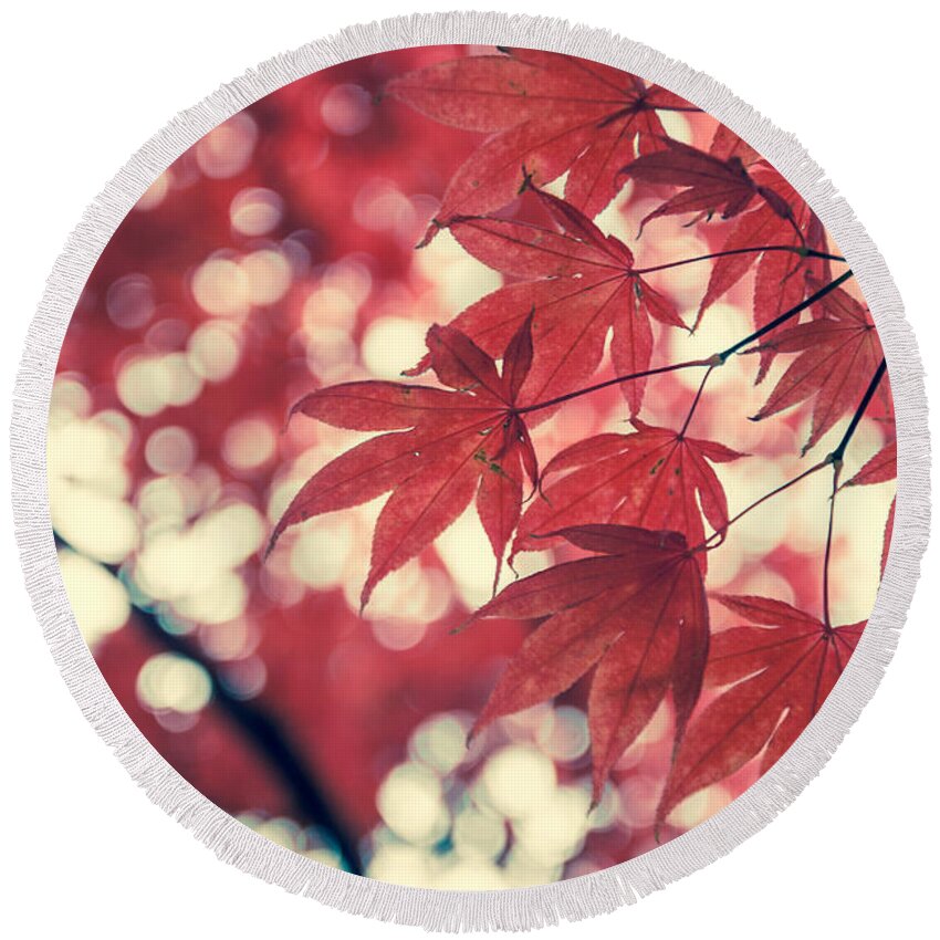Autumn Round Beach Towel featuring the photograph Japanese Maple Leaves - Vintage by Hannes Cmarits