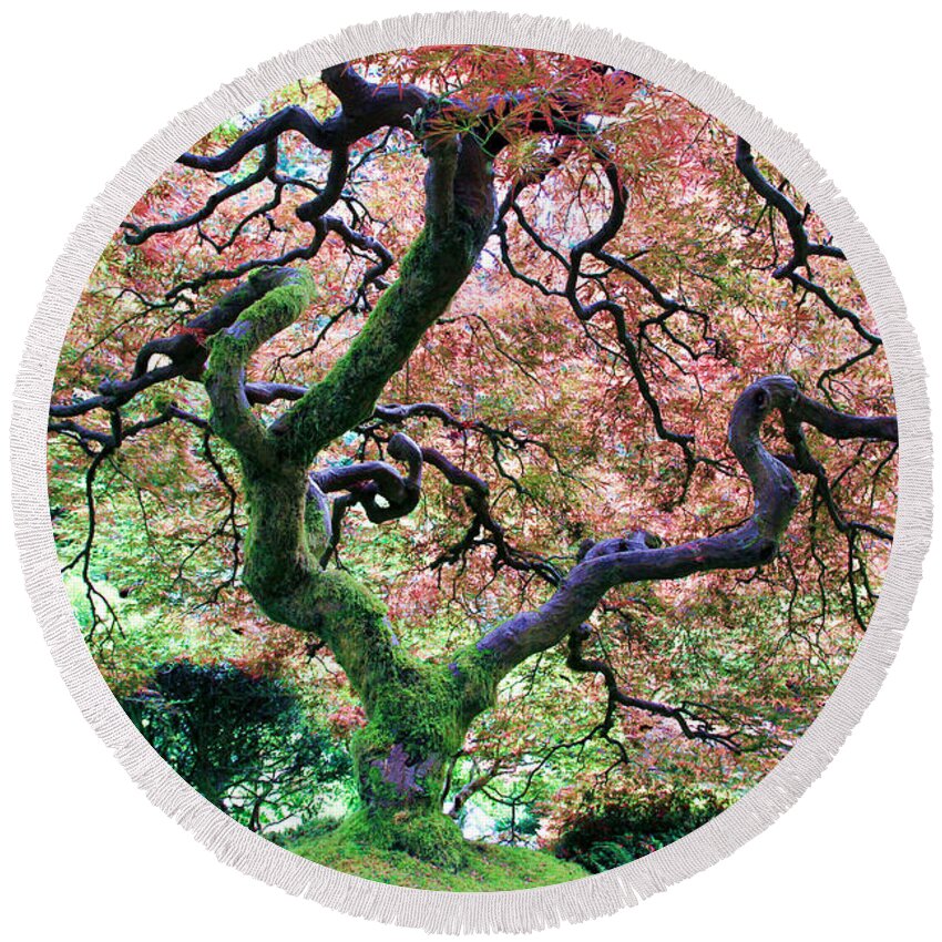Japanese Maple Tree Round Beach Towel featuring the photograph Japanese Tree in Garden by Athena Mckinzie