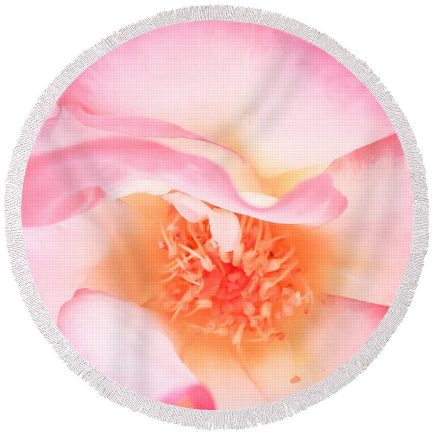 Rose Round Beach Towel featuring the photograph Jewel by Roxy Hurtubise