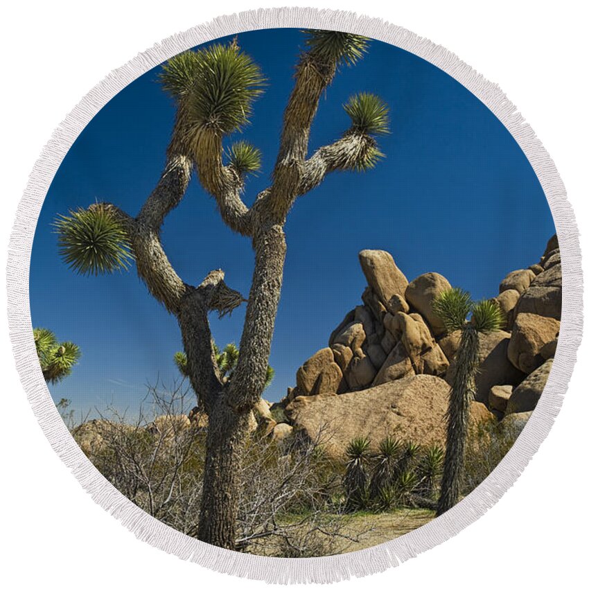 California Round Beach Towel featuring the photograph California Joshua Trees in Joshua Tree National Park by the Mojave Desert by Randall Nyhof