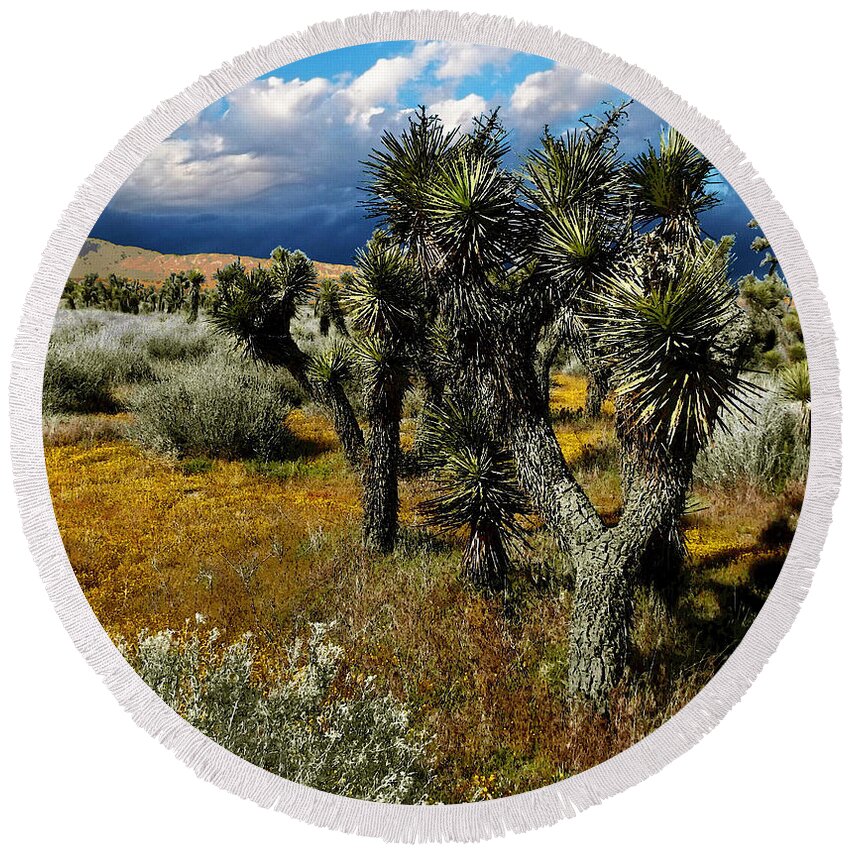 Joshua Round Beach Towel featuring the photograph Joshuas And Sage by Glenn McCarthy Art and Photography