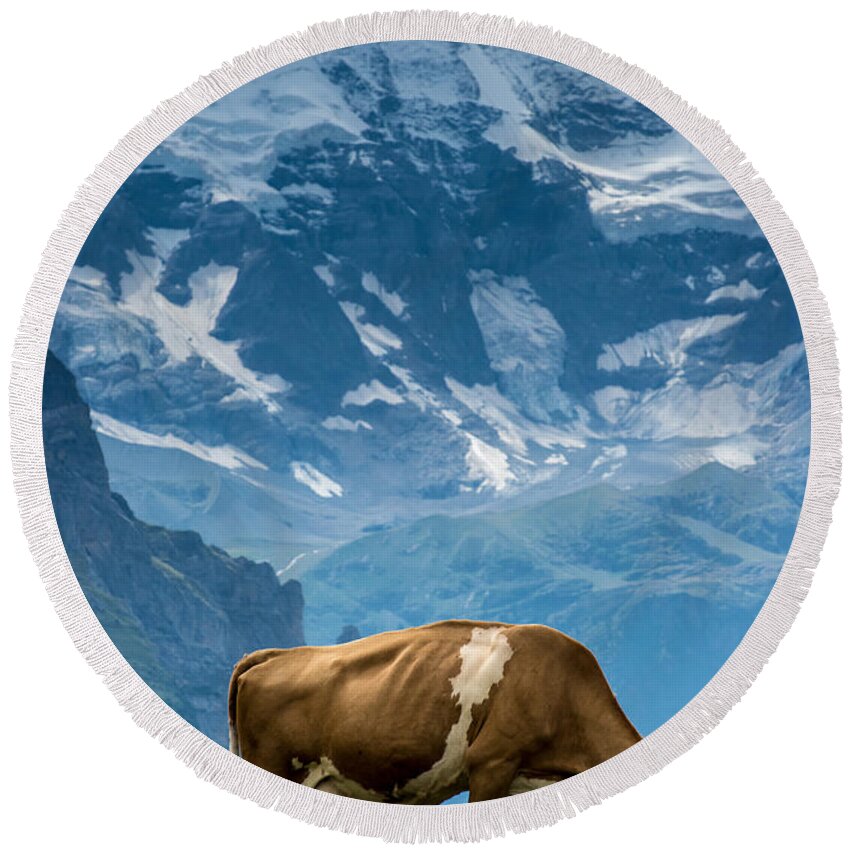 Swiss Cow Round Beach Towel featuring the photograph Jungfrau Cow - Grindelwald - Switzerland by Gary Whitton