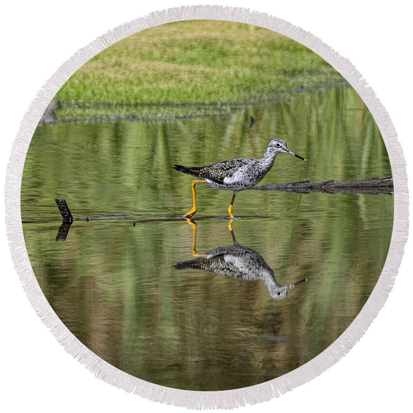 Lesser Yellowlegs Round Beach Towel featuring the photograph Lesser Yellowlegs by Marty Saccone