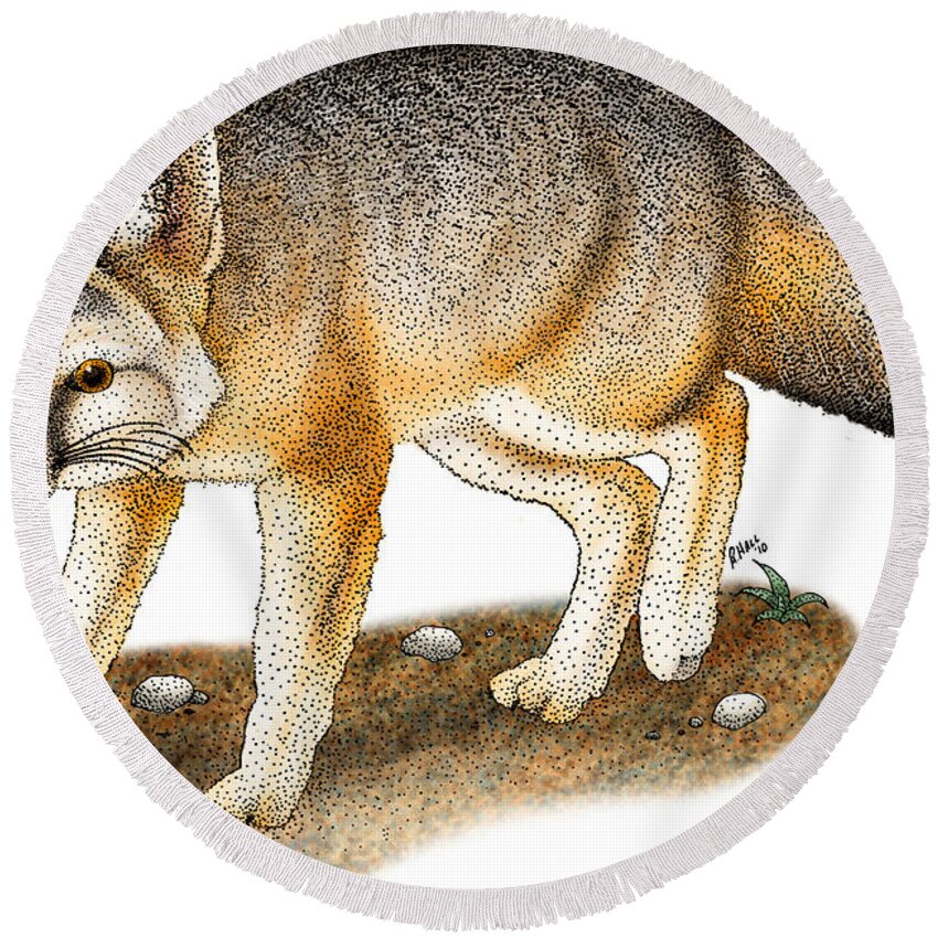 Fox Round Beach Towel featuring the photograph Kit Fox by Roger Hall