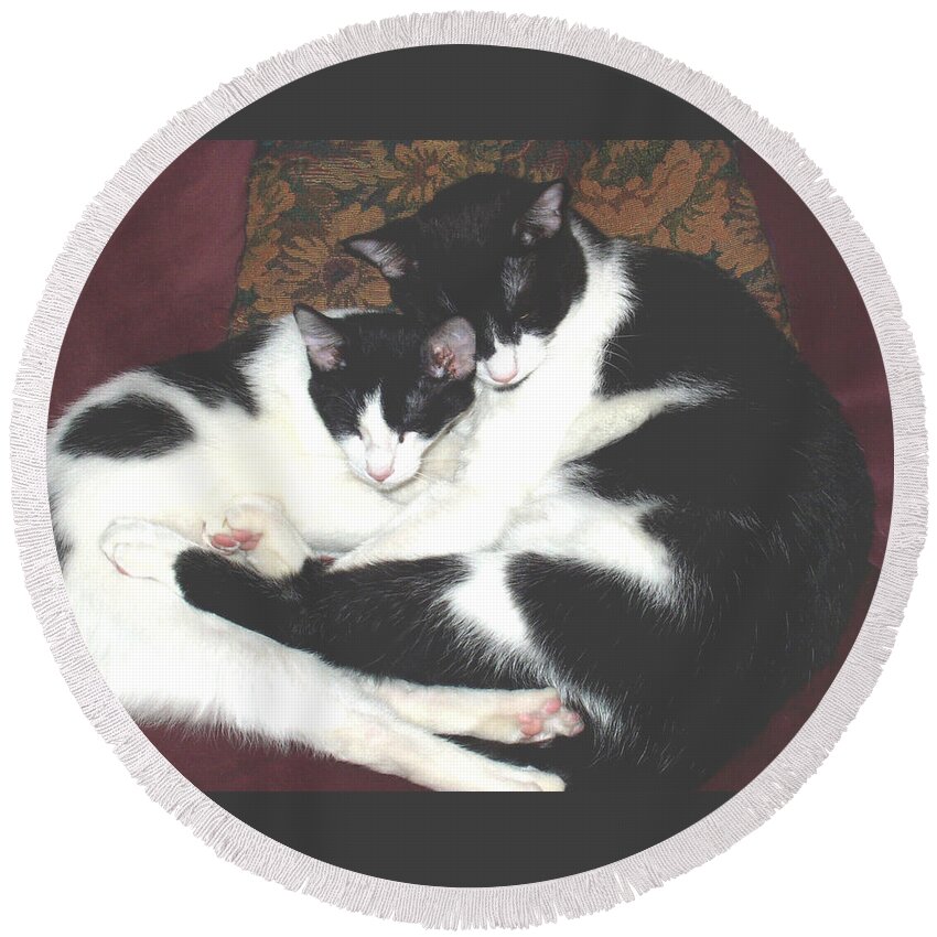 Brothers Round Beach Towel featuring the photograph Kitty Love by Marna Edwards Flavell
