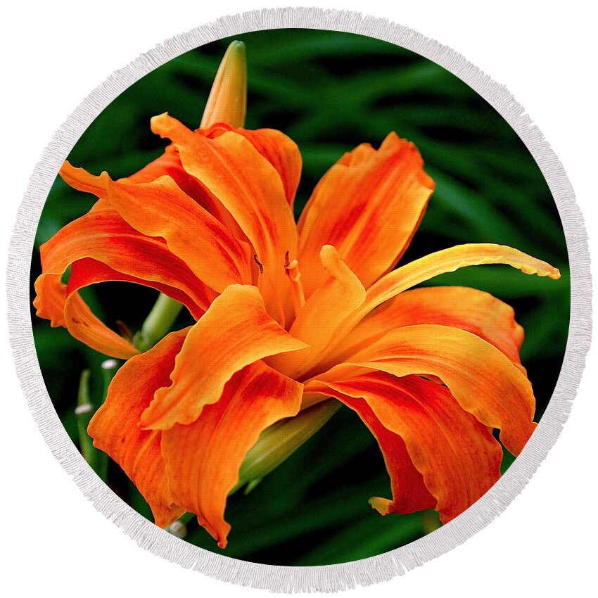 Orange Round Beach Towel featuring the photograph Kwanso Lily by Rona Black