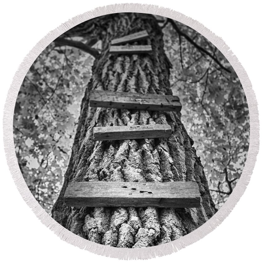 Tree Round Beach Towel featuring the photograph Ladder to the Treehouse by Scott Norris