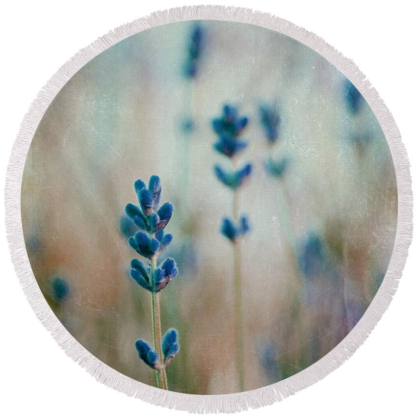Lavender Round Beach Towel featuring the photograph Lavandines 02 - 222t03 by Variance Collections