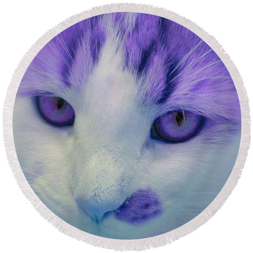 Color Round Beach Towel featuring the photograph Lavender Kitten by Anita Lewis