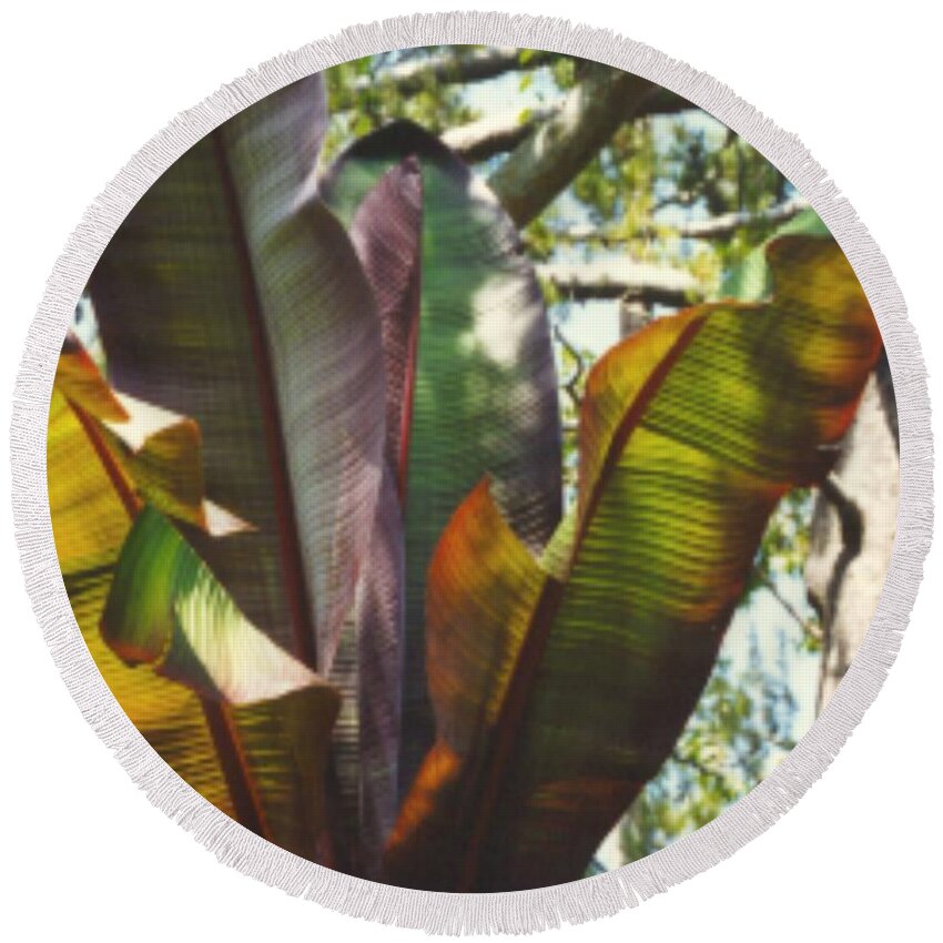 Leaf Round Beach Towel featuring the photograph Leaf Reflection by Mars Besso