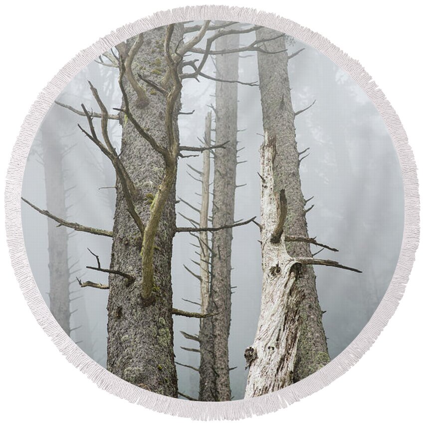 Dead Round Beach Towel featuring the photograph Leafless Trees In The Fog Cannon by Robert L. Potts