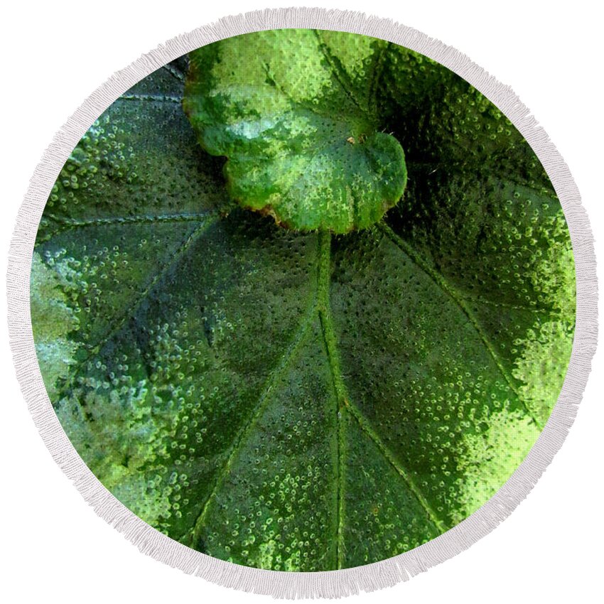 Leaf Round Beach Towel featuring the photograph Leafy Greens by Lori Lafargue