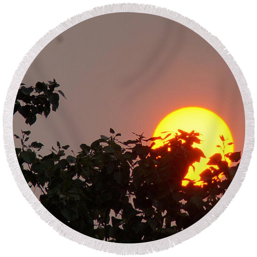 Sun Round Beach Towel featuring the photograph Leaves Cradling Setting Sun by Mick Anderson