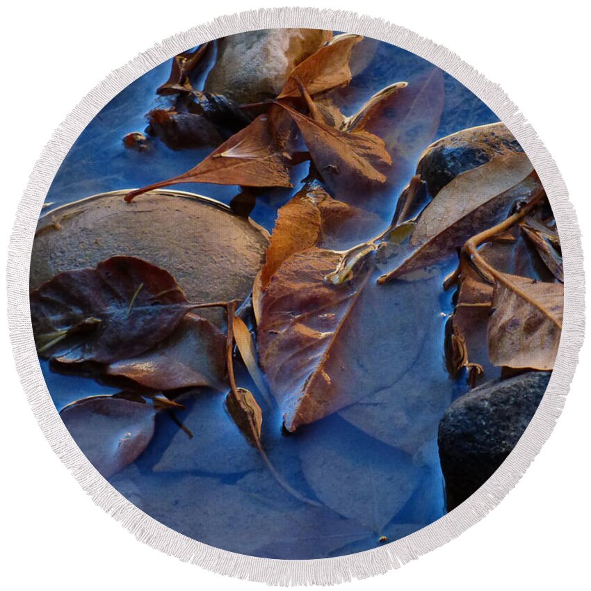 Leaf Round Beach Towel featuring the photograph Leaves in Iridescent Water by Marcia Socolik