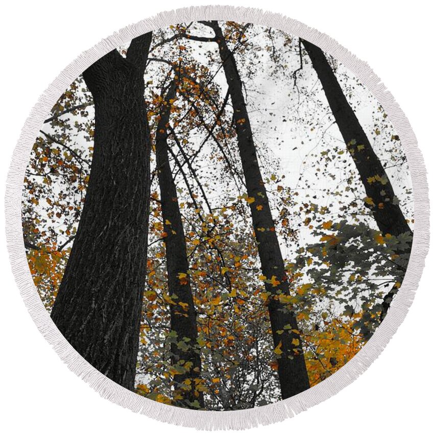 Fall Trees Round Beach Towel featuring the photograph Leaves lost by Photographic Arts And Design Studio