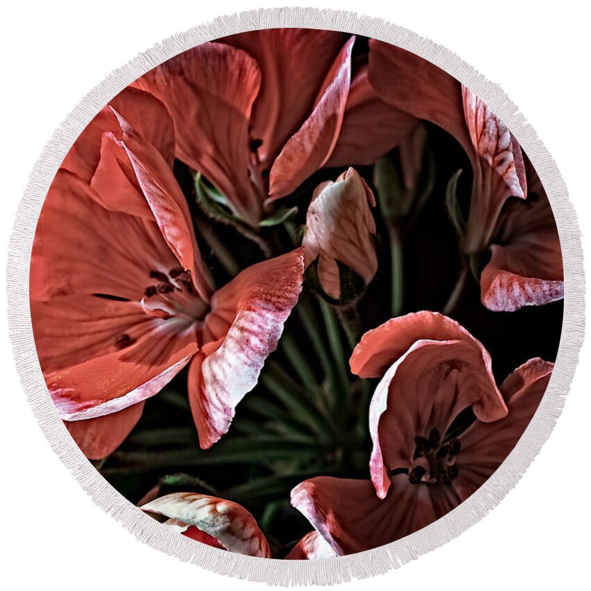 Geraniums Round Beach Towel featuring the mixed media Light and shadow by Charles Muhle