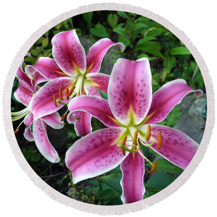 Flower Macro Round Beach Towel featuring the photograph Lilies of The Field by Lingfai Leung