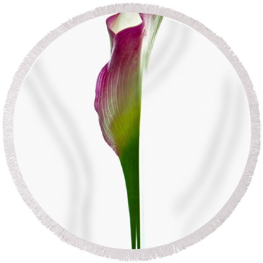 Abstract Round Beach Towel featuring the photograph Lily by Jonathan Nguyen