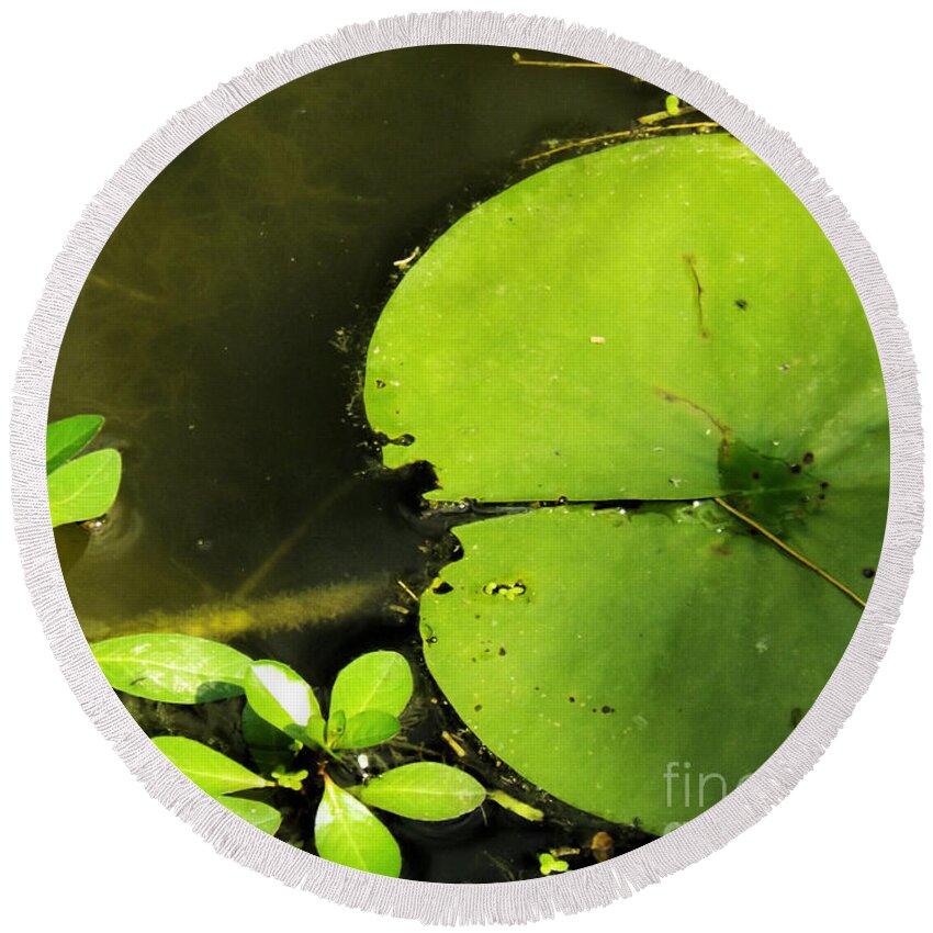 Lily Pad Round Beach Towel featuring the photograph Lily Pad by Robyn King