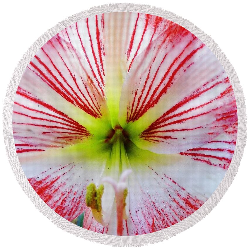 Bestseller Round Beach Towel featuring the photograph Lily Wow by D Hackett