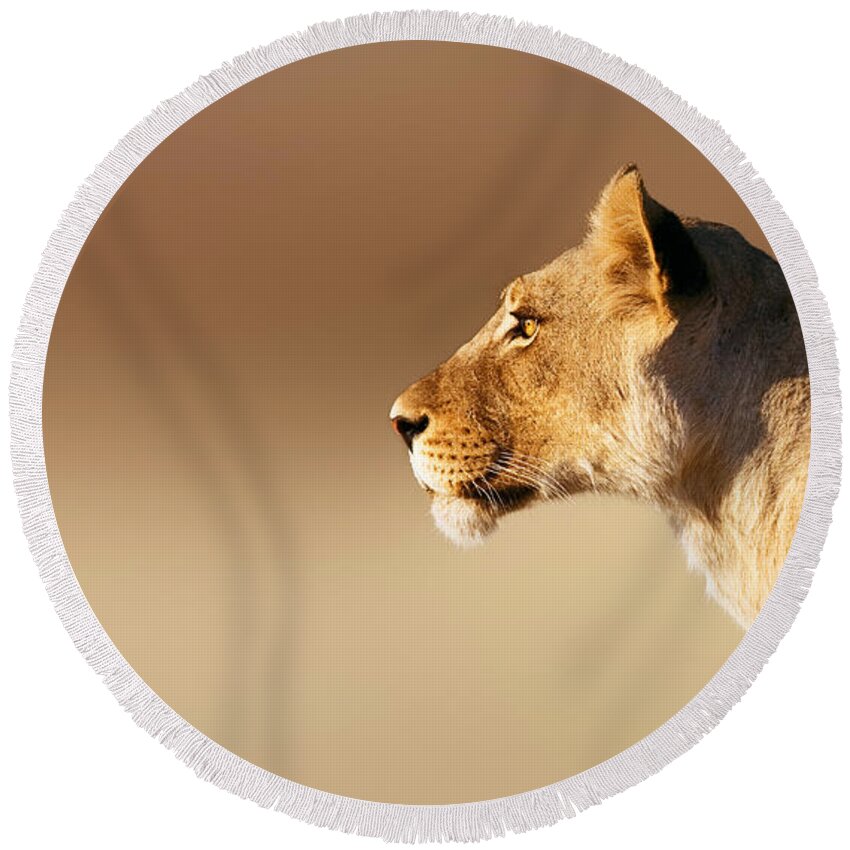 Lion Round Beach Towel featuring the photograph Lioness portrait by Johan Swanepoel