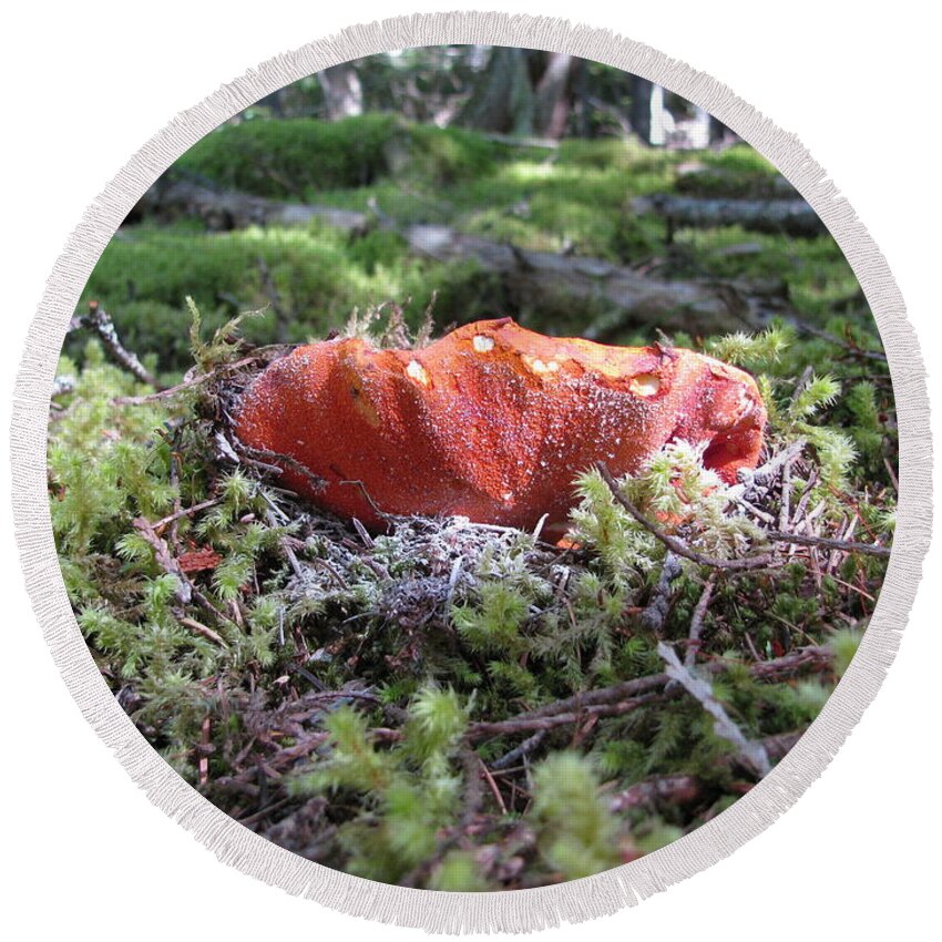 Lobster Round Beach Towel featuring the photograph Lobster Mushroom by Leone Lund