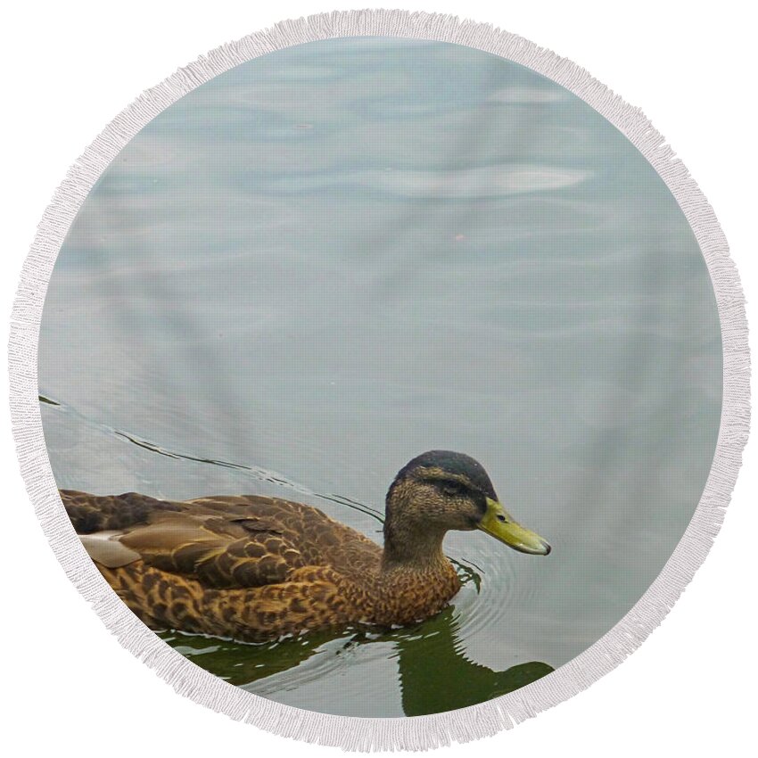 Duck Round Beach Towel featuring the photograph Lone Duck by Claudia Goodell