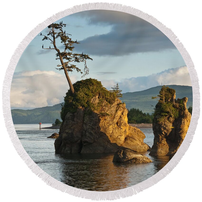 Bay Round Beach Towel featuring the photograph Lone Tree on a Rock at Sunset by Jeff Goulden