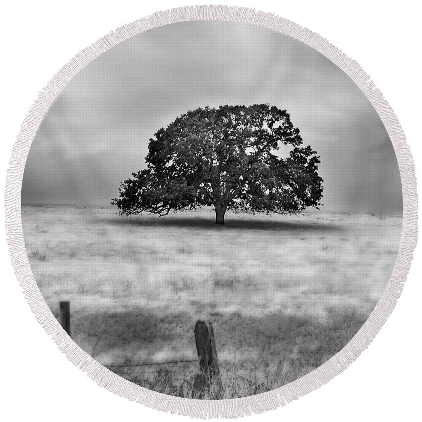 Valley Oak Round Beach Towel featuring the photograph Lone Valley Oak vertical by Abram House