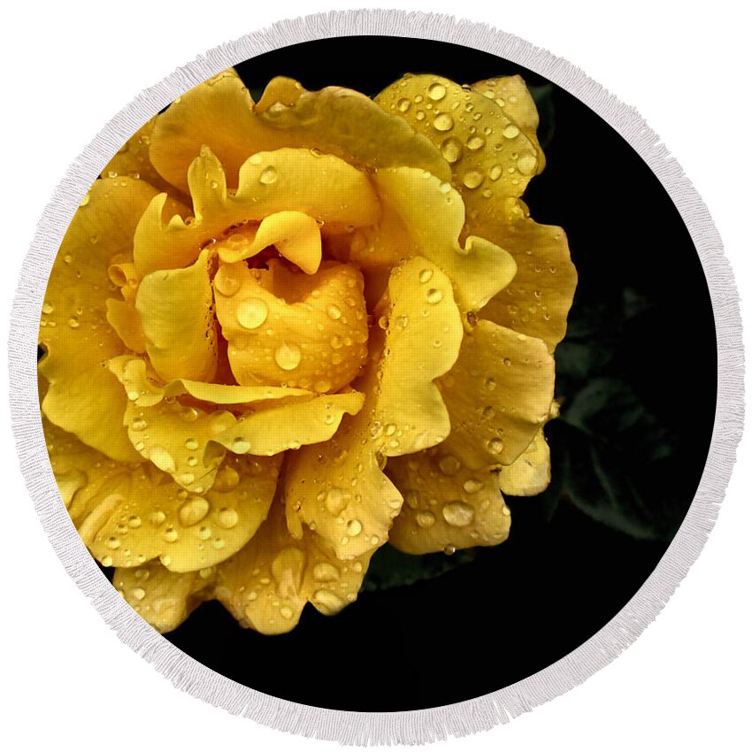 Yellow Rose Digital Art Round Beach Towel featuring the photograph Lone Yellow Rose by Stephanie Hollingsworth