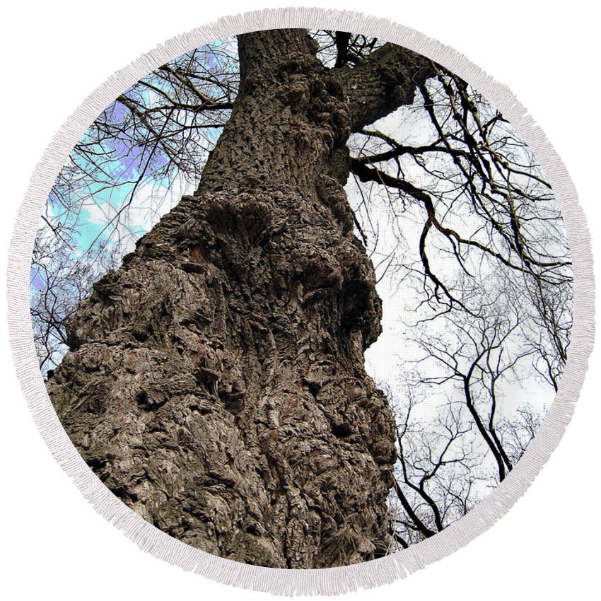 Trees Round Beach Towel featuring the photograph Look Up Look Way Up by Nina Silver
